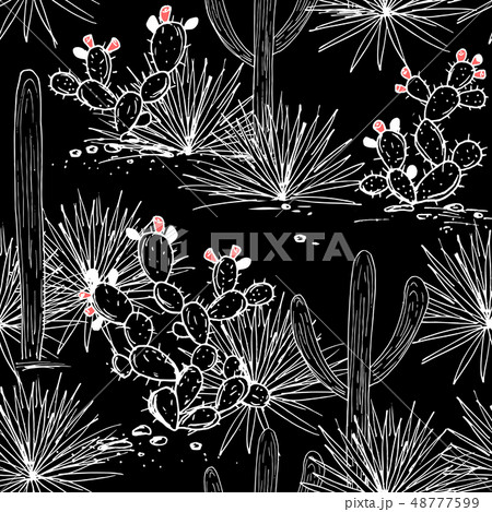 Hand drawn seamless pattern with sketch saguaro, blue agave, and prickly pear. Latin American 48777599