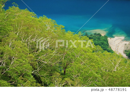 白山登山道からの白水湖 48778191