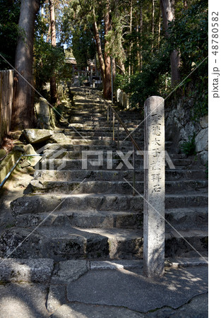 長命寺　参道の石段 48780582