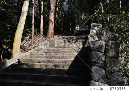 長命寺　参道の石段 48780583