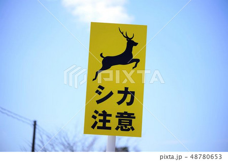 道路標識 シカ注意 道路標識 シカ注意 48780653