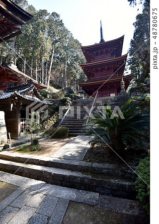 長命寺 三重塔 長命寺 三重塔 48780675