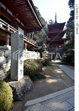 長命寺　本堂と三重塔 48780677