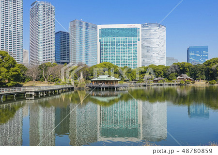 池に映る高層ビル群と茶屋 池に映る高層ビル群と茶屋 48780859