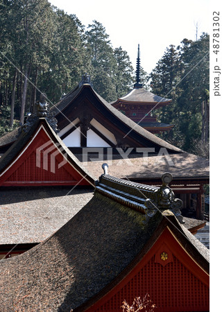 長命寺伽藍 長命寺伽藍 48781302