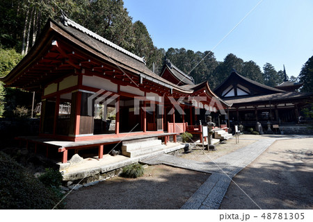 長命寺　境内 48781305