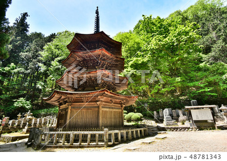 別所温泉　国宝八角三重塔 48781343