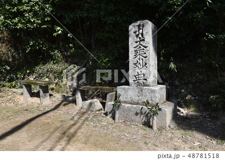 長命寺 参道脇の石碑 長命寺 参道脇の石碑 48781518