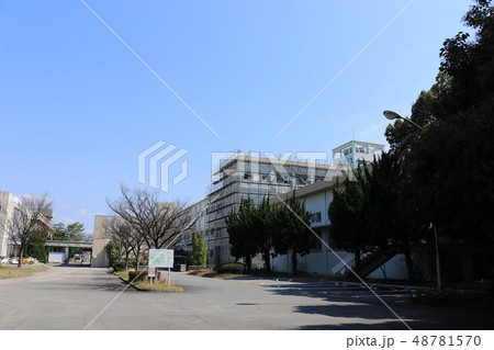 九州大学箱崎キャンパス 解体前 九州大学箱崎キャンパス 解体前 48781570