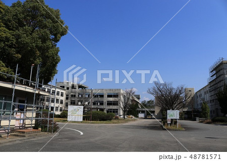 九州大学箱崎キャンパス 解体前 九州大学箱崎キャンパス 解体前 48781571
