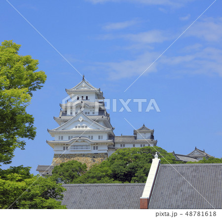 姫路城 東側（ 姫路市立美術館から ） 48781618