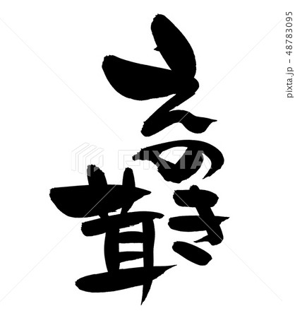 筆文字　えのき茸　食べ物　イラスト 48783095