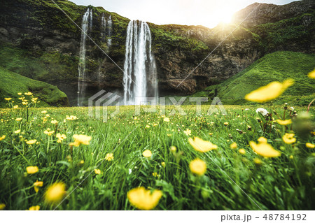 Magical Seljalandsfoss Waterfall in Iceland. 48784192