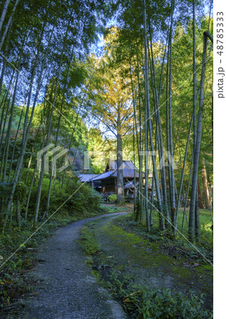 康平寺 康平寺 48785333