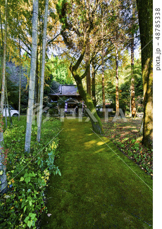 康平寺 康平寺 48785338