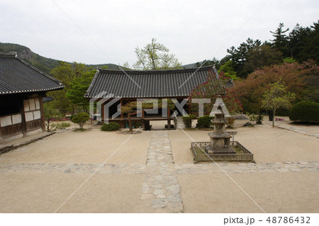 韓国 全北 扶安郡 48786432