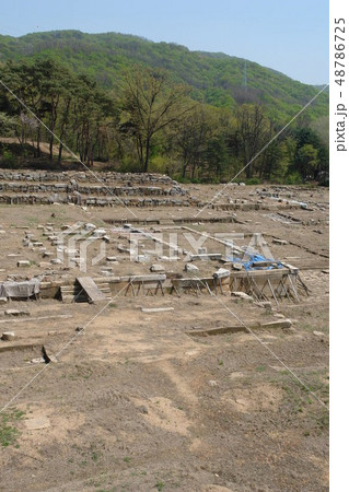 屋外 室外 木 48786725