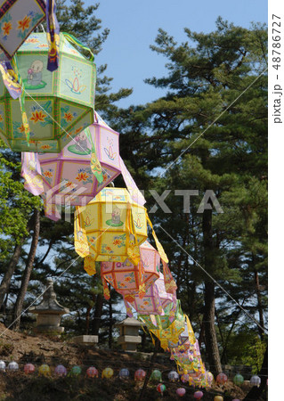 フェアムサ 韓国 京畿道 48786727