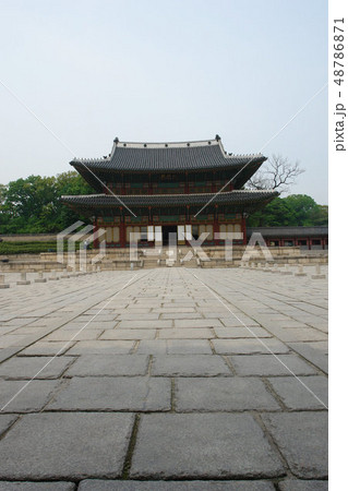 木 植物 世界文化遺産 48786871