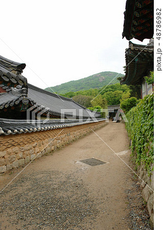 韓国 釜山 梵魚寺 48786982