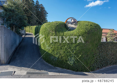 生け垣とカーブミラー 48788245
