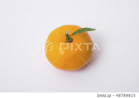 Collections of fresh Tangerines. tangerine slices, juice with leaves. Fruit composition. 002 Collections of fresh Tangerines. tangerine slices, juice with leaves. Fruit composition. 002 48789815