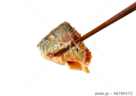 鯖缶 　味噌煮 48790572