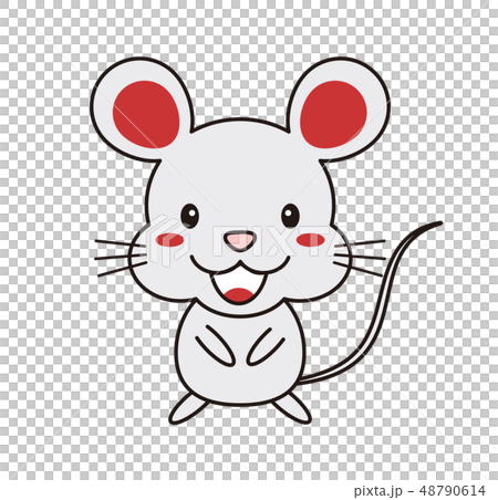 一隻老鼠 48790614