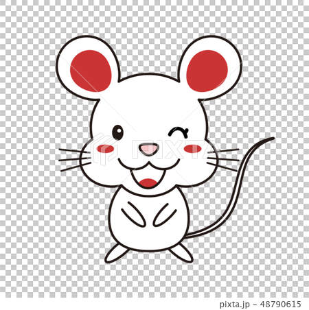 一隻老鼠 48790615