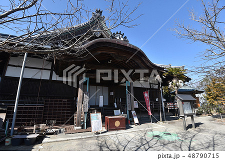 八幡山城跡　瑞龍寺 48790715