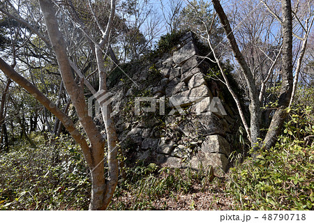 八幡山城跡 八幡山城跡 48790718