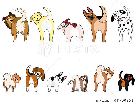 お尻を向けた犬のセット 小型犬と大型犬 カラーのイラスト素材