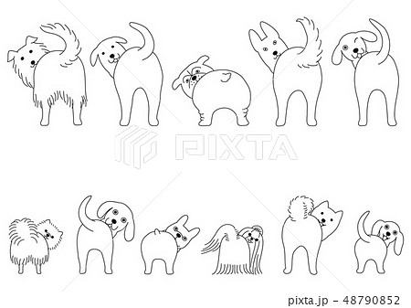 お尻を向けた犬のセット 小型犬と大型犬 線画のイラスト素材