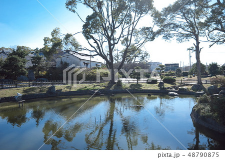 高槻城跡公園 高槻城跡公園 48790875