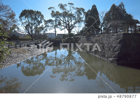 高槻城跡公園 高槻城跡公園 48790877