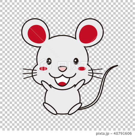 A mouse sitting and sitting A mouse sitting and sitting 48791606