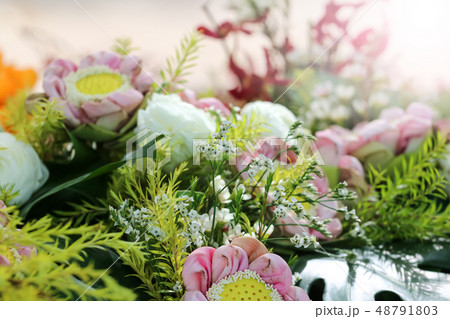 Colorful various species of flower in the tropical 48791803