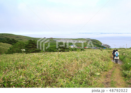 北海道　礼文島　 48792022