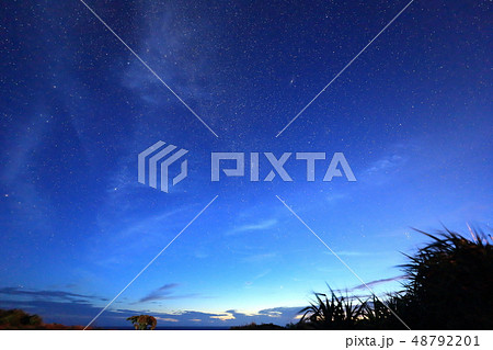 宮古島の景色(夜明けの東平安名崎) 48792201