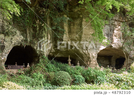 報国寺のやぐら、鎌倉 48792310