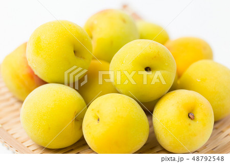 梅酒 梅酒 48792548