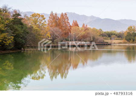 公園の秋 公園の秋 48793316