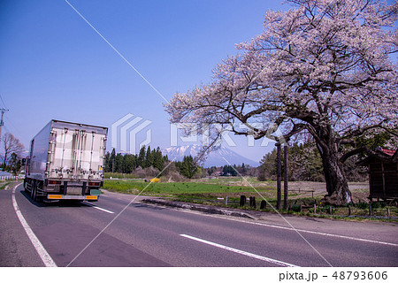 岩手県　雫石町　長山の弘法桜　雪の岩手山　通り過ぎるトラック 48793606