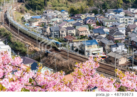 四季島 48793673