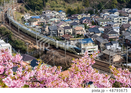四季島 48793675