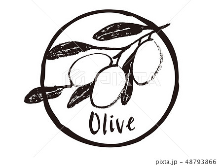 Olive オリーブ 筆文字のイラスト素材