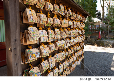大國魂神社の絵馬 大國魂神社の絵馬 48794248