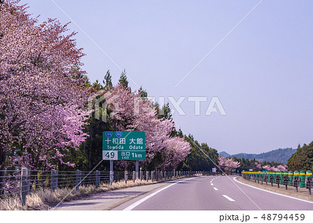 秋田県　鹿角市　桜の東北自動車道　もうすぐ十和田　大館 48794459