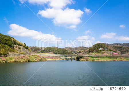 佐久間ダム湖 48794640