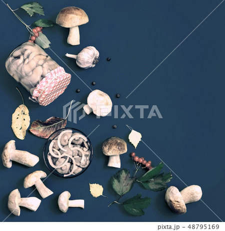 Marinated and fresh mushrooms on blue background. 48795169
